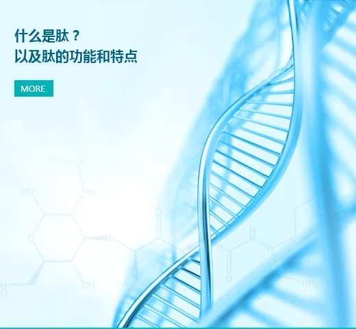 什么是肽？以及肽的功能和特點(diǎn)